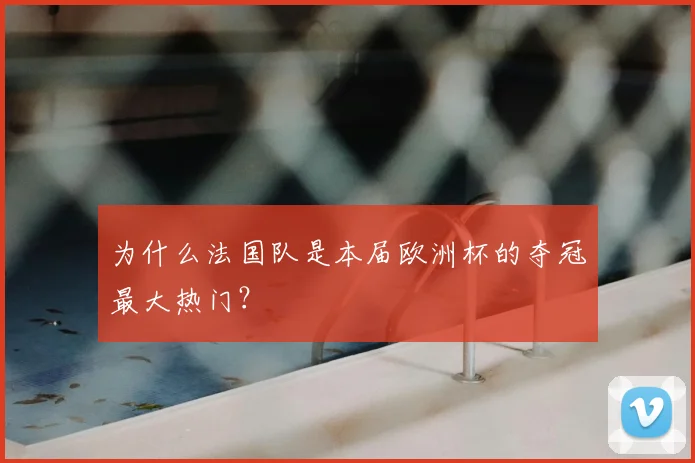 为什么法国队是本届欧洲杯的夺冠最大热门？